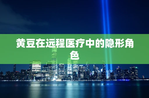 黄豆在远程医疗中的隐形角色