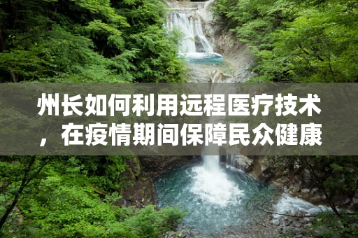 州长如何利用远程医疗技术，在疫情期间保障民众健康？