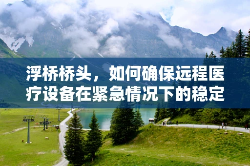 浮桥桥头，如何确保远程医疗设备在紧急情况下的稳定连接？