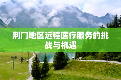 荆门地区远程医疗服务的挑战与机遇