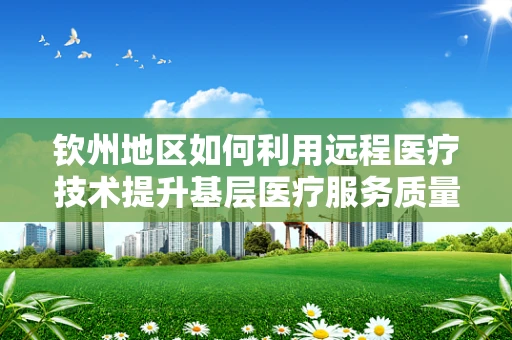 钦州地区如何利用远程医疗技术提升基层医疗服务质量？