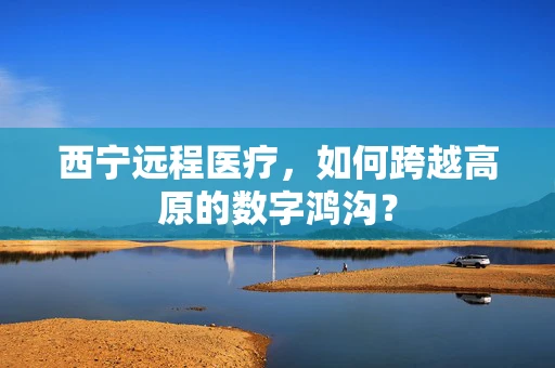 西宁远程医疗，如何跨越高原的数字鸿沟？