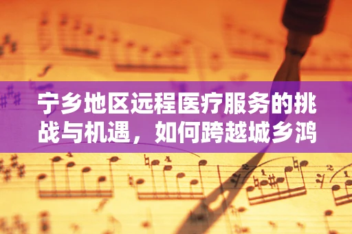 宁乡地区远程医疗服务的挑战与机遇，如何跨越城乡鸿沟？
