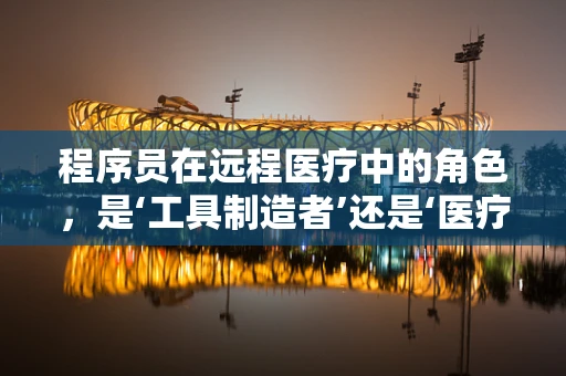 程序员在远程医疗中的角色，是‘工具制造者’还是‘医疗助手’？