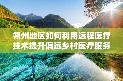 朔州地区如何利用远程医疗技术提升偏远乡村医疗服务质量？