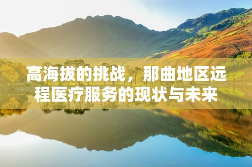 高海拔的挑战，那曲地区远程医疗服务的现状与未来