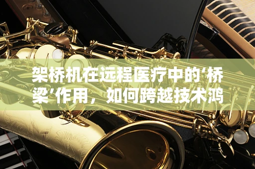 架桥机在远程医疗中的‘桥梁’作用，如何跨越技术鸿沟？