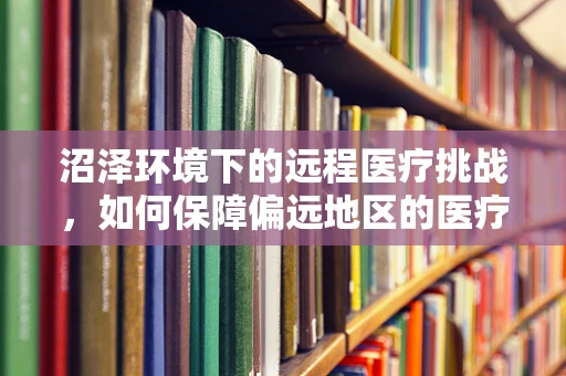 沼泽环境下的远程医疗挑战，如何保障偏远地区的医疗援助？