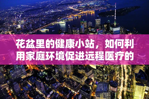 花盆里的健康小站，如何利用家庭环境促进远程医疗的普及？