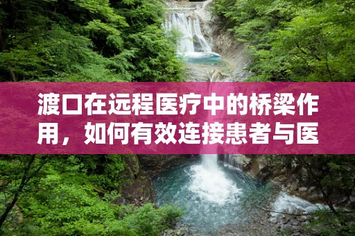 渡口在远程医疗中的桥梁作用，如何有效连接患者与医疗资源？