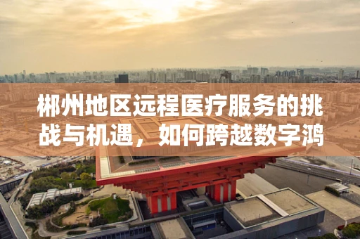 郴州地区远程医疗服务的挑战与机遇，如何跨越数字鸿沟？