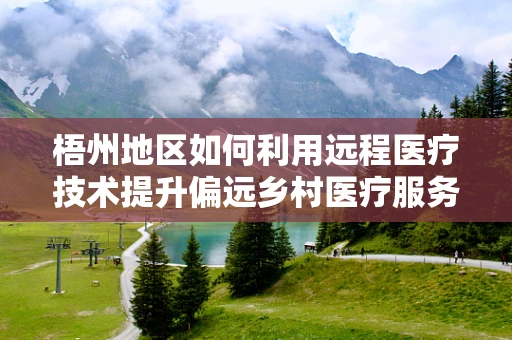 梧州地区如何利用远程医疗技术提升偏远乡村医疗服务质量？
