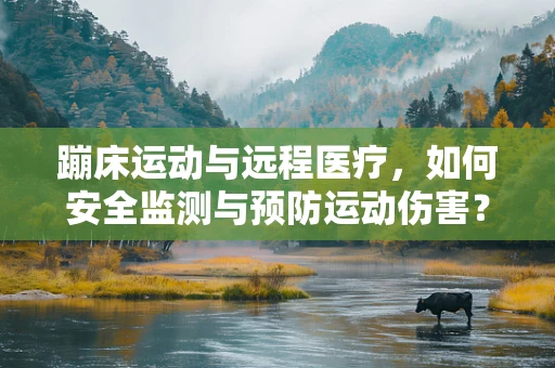 蹦床运动与远程医疗，如何安全监测与预防运动伤害？