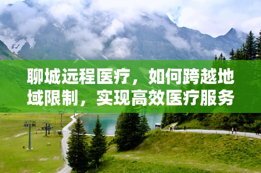 聊城远程医疗，如何跨越地域限制，实现高效医疗服务？