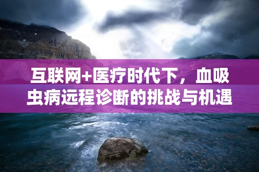 互联网+医疗时代下，血吸虫病远程诊断的挑战与机遇