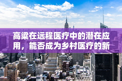 高粱在远程医疗中的潜在应用，能否成为乡村医疗的新希望？