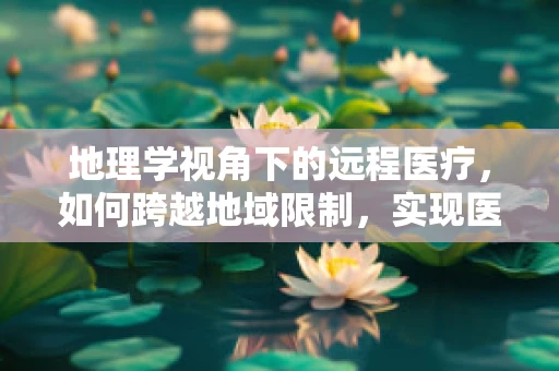 地理学视角下的远程医疗，如何跨越地域限制，实现医疗资源的均衡分配？