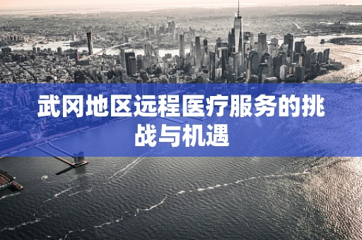 武冈地区远程医疗服务的挑战与机遇