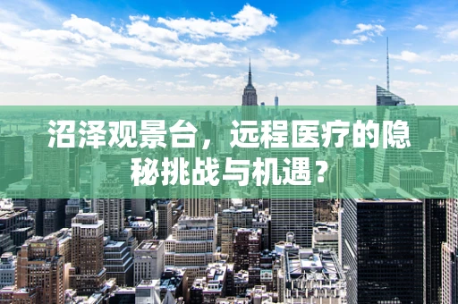 沼泽观景台，远程医疗的隐秘挑战与机遇？