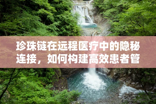 珍珠链在远程医疗中的隐秘连接，如何构建高效患者管理网络？