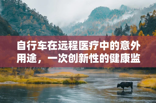 自行车在远程医疗中的意外用途，一次创新性的健康监测尝试？