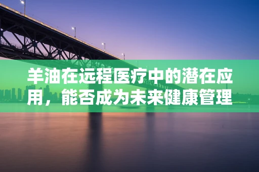 羊油在远程医疗中的潜在应用，能否成为未来健康管理的隐形助手？
