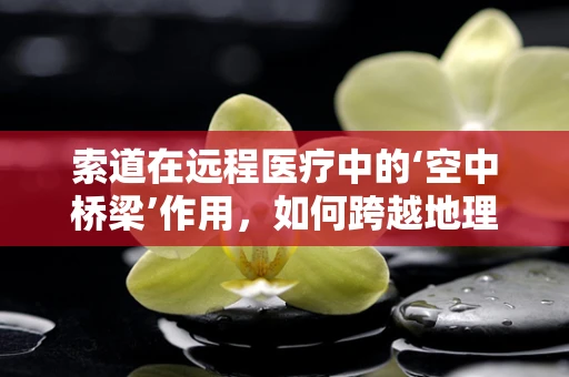 索道在远程医疗中的‘空中桥梁’作用，如何跨越地理障碍，连接生命线？