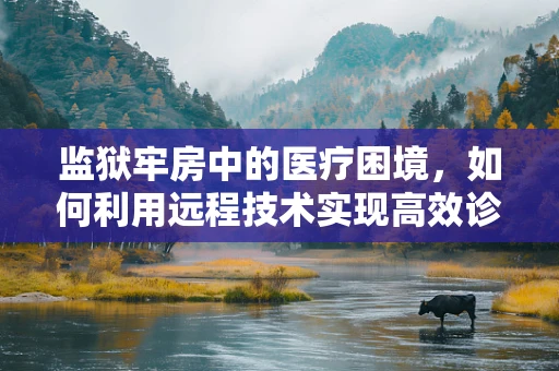 监狱牢房中的医疗困境，如何利用远程技术实现高效诊疗？