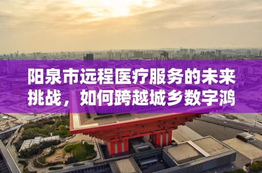 阳泉市远程医疗服务的未来挑战，如何跨越城乡数字鸿沟？