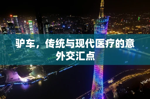 驴车，传统与现代医疗的意外交汇点