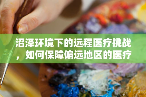 沼泽环境下的远程医疗挑战，如何保障偏远地区的医疗援助？
