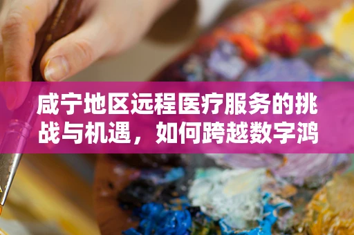 咸宁地区远程医疗服务的挑战与机遇，如何跨越数字鸿沟？