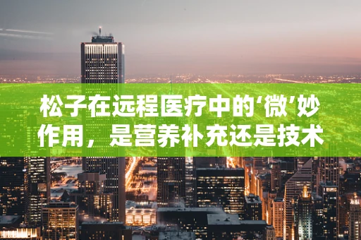 松子在远程医疗中的‘微’妙作用，是营养补充还是技术障碍？