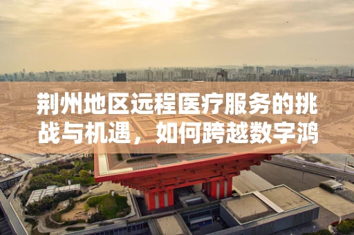 荆州地区远程医疗服务的挑战与机遇，如何跨越数字鸿沟？
