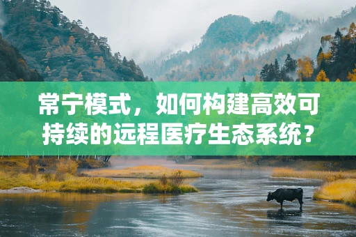 常宁模式，如何构建高效可持续的远程医疗生态系统？