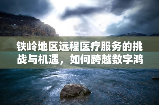 铁岭地区远程医疗服务的挑战与机遇，如何跨越数字鸿沟？