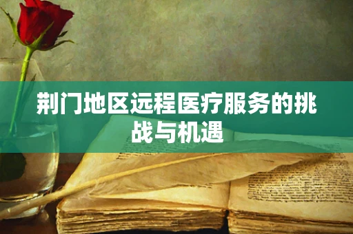 荆门地区远程医疗服务的挑战与机遇