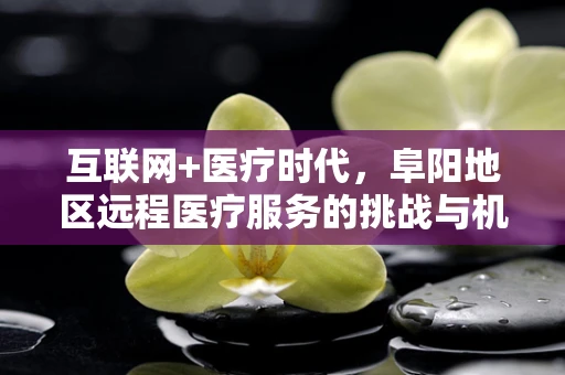 互联网+医疗时代，阜阳地区远程医疗服务的挑战与机遇