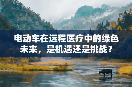 电动车在远程医疗中的绿色未来，是机遇还是挑战？