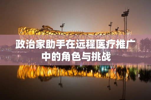 政治家助手在远程医疗推广中的角色与挑战