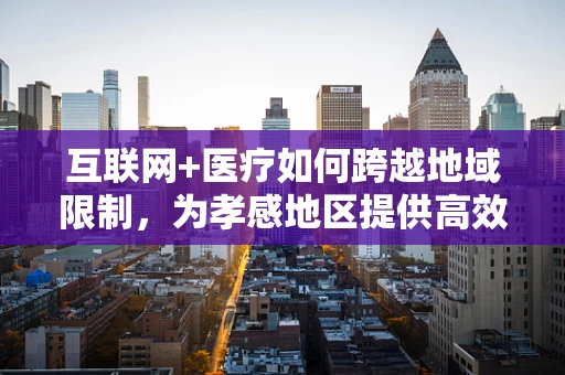 互联网+医疗如何跨越地域限制，为孝感地区提供高效医疗服务？