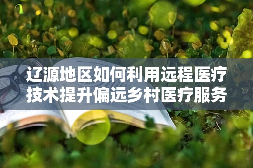 辽源地区如何利用远程医疗技术提升偏远乡村医疗服务质量？