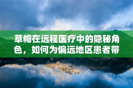 草帽在远程医疗中的隐秘角色，如何为偏远地区患者带来阳光？