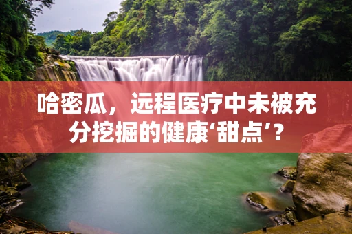 哈密瓜，远程医疗中未被充分挖掘的健康‘甜点’？