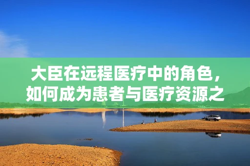 大臣在远程医疗中的角色，如何成为患者与医疗资源之间的桥梁？