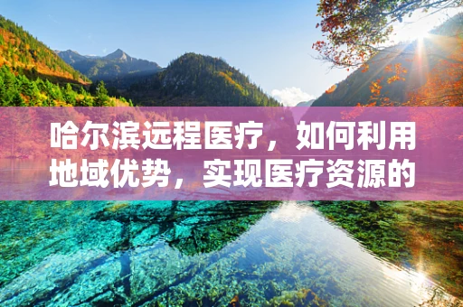 哈尔滨远程医疗，如何利用地域优势，实现医疗资源的高效配置？