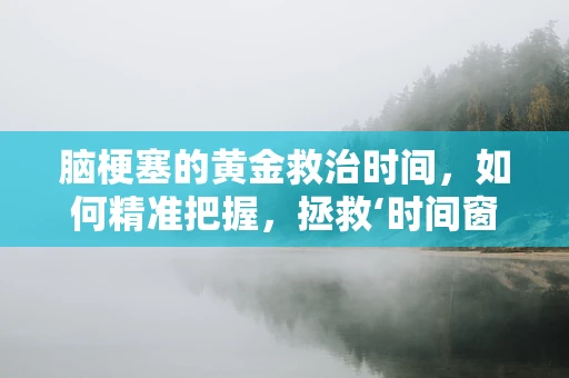 脑梗塞的黄金救治时间，如何精准把握，拯救‘时间窗’内的生命？