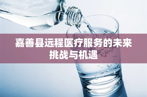 嘉善县远程医疗服务的未来挑战与机遇