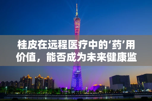 桂皮在远程医疗中的‘药’用价值，能否成为未来健康监测的‘香料’？