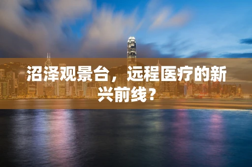 沼泽观景台，远程医疗的新兴前线？